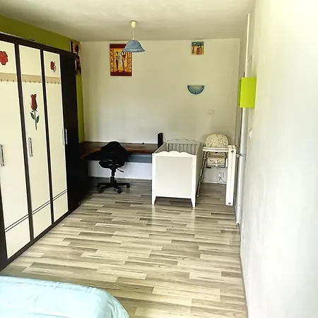 Escale Alsacienne A Apartment Sélestat